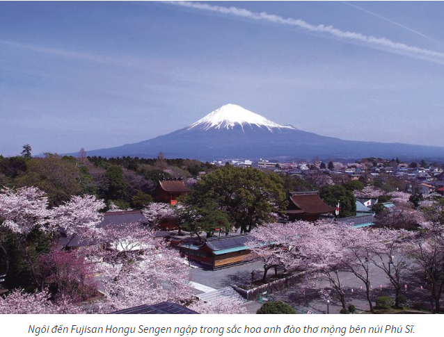 Ngôi đền Fujisan Hongu Sengen ngập trong sắc hoa anh đào thơ mộng bên núi Phú Sĩ